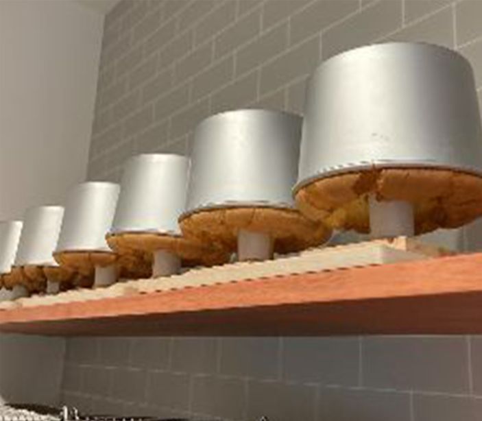 グルテンフリーシフォンケーキ